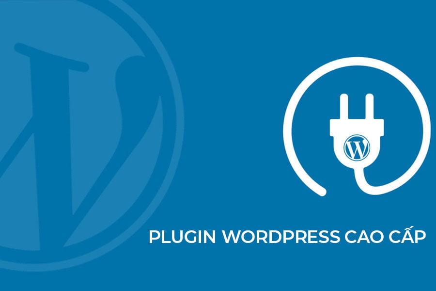 Một số Plugin WordPress cao cấp